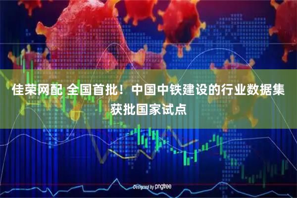 佳荣网配 全国首批！中国中铁建设的行业数据集获批国家试点