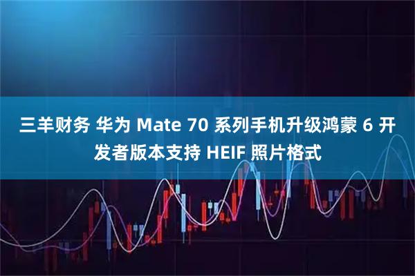 三羊财务 华为 Mate 70 系列手机升级鸿蒙 6 开发者版本支持 HEIF 照片格式