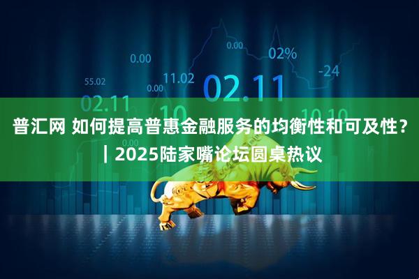 普汇网 如何提高普惠金融服务的均衡性和可及性？｜2025陆家嘴论坛圆桌热议