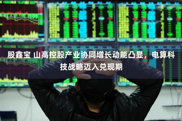 股鑫宝 山高控股产业协同增长动能凸显，电算科技战略迈入兑现期
