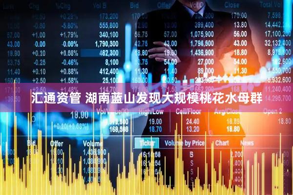 汇通资管 湖南蓝山发现大规模桃花水母群