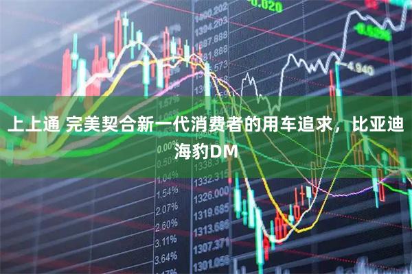 上上通 完美契合新一代消费者的用车追求,比亚迪海豹DM